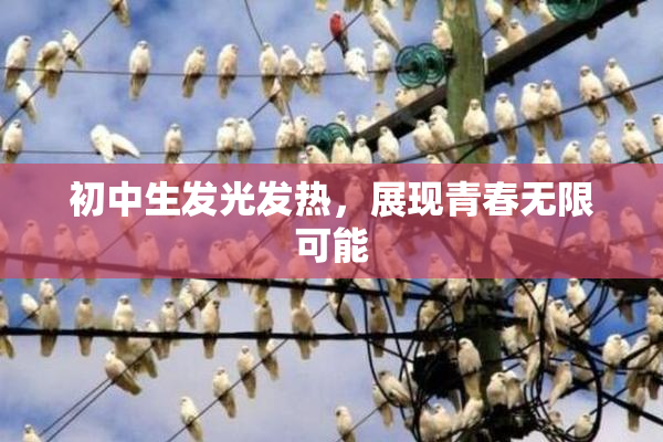 初中生发光发热，展现青春无限可能