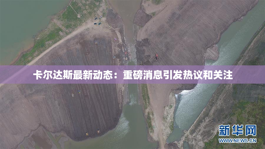 卡尔达斯最新动态：重磅消息引发热议和关注