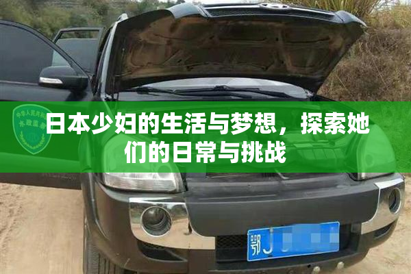 日本少妇的生活与梦想，探索她们的日常与挑战
