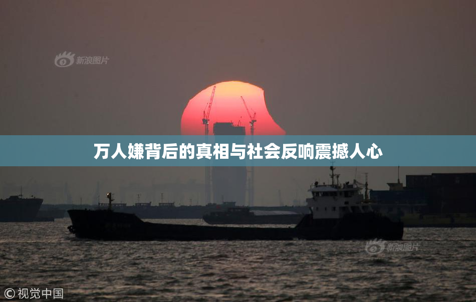 万人嫌背后的真相与社会反响震撼人心