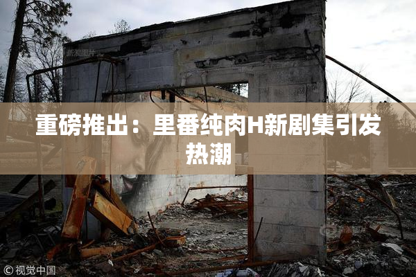 重磅推出：里番纯肉H新剧集引发热潮