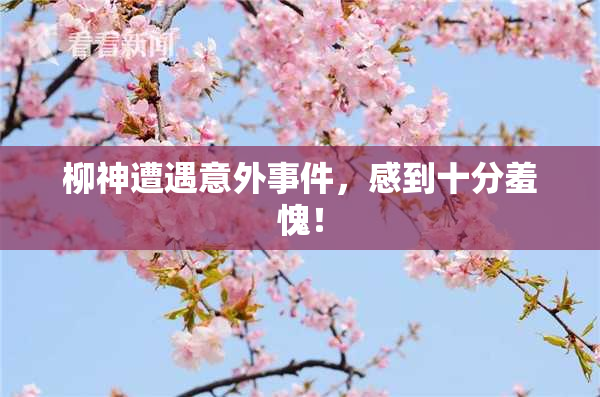 柳神遭遇意外事件，感到十分羞愧！