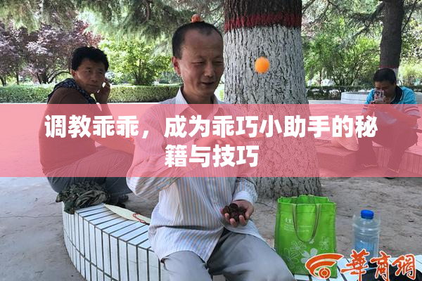 调教乖乖，成为乖巧小助手的秘籍与技巧