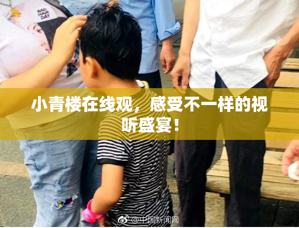 小青楼在线观，感受不一样的视听盛宴！