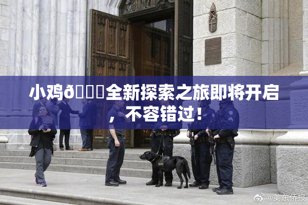 小鸡🐔全新探索之旅即将开启，不容错过！