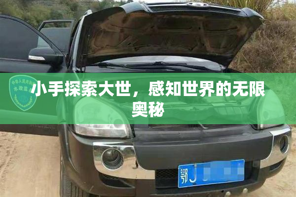 小手探索大世，感知世界的无限奥秘