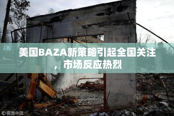 美国BAZA新策略引起全国关注，市场反应热烈