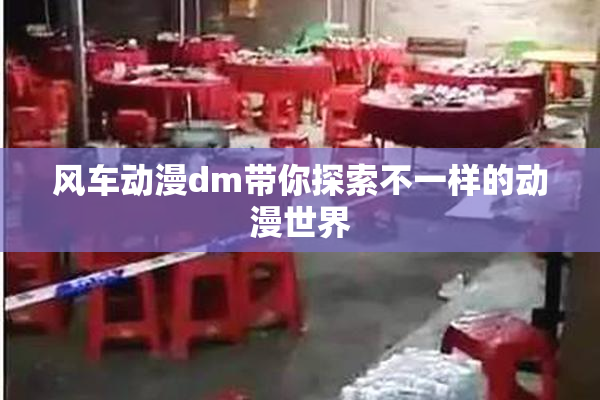 风车动漫dm带你探索不一样的动漫世界