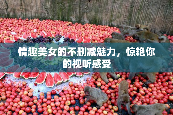 情趣美女的不删减魅力，惊艳你的视听感受