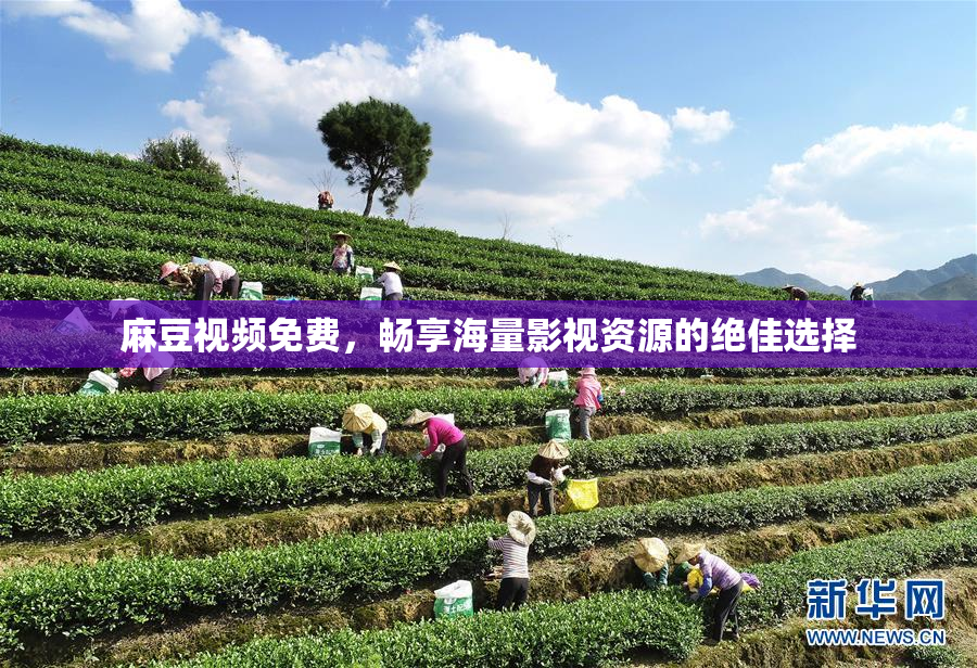 麻豆视频免费，畅享海量影视资源的绝佳选择