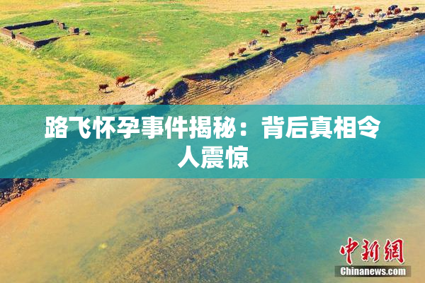 路飞怀孕事件揭秘：背后真相令人震惊