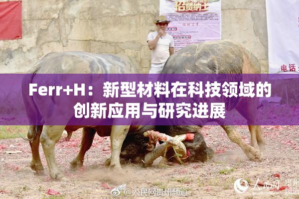 Ferr+H：新型材料在科技领域的创新应用与研究进展