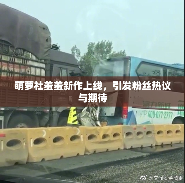 萌萝社羞羞新作上线，引发粉丝热议与期待