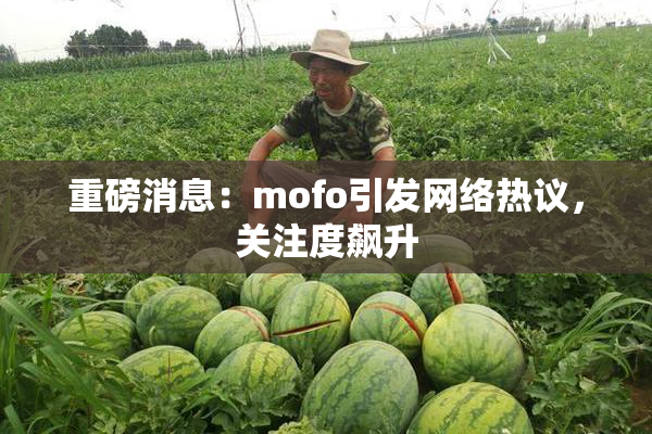 重磅消息：mofo引发网络热议，关注度飙升