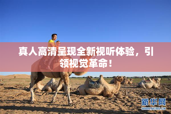 真人高清呈现全新视听体验，引领视觉革命！