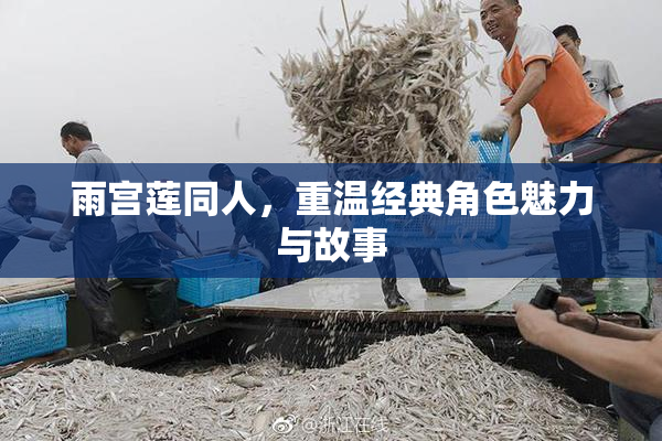 雨宫莲同人，重温经典角色魅力与故事