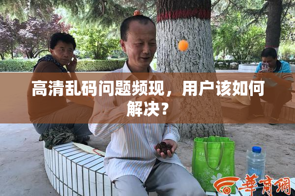 高清乱码问题频现，用户该如何解决？