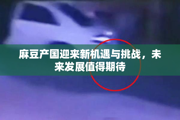 麻豆产国迎来新机遇与挑战，未来发展值得期待