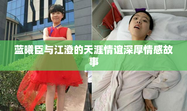 蓝曦臣与江澄的天涯情谊深厚情感故事