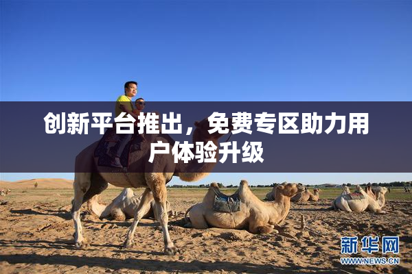 创新平台推出，免费专区助力用户体验升级
