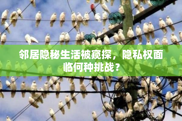 邻居隐秘生活被窥探，隐私权面临何种挑战？