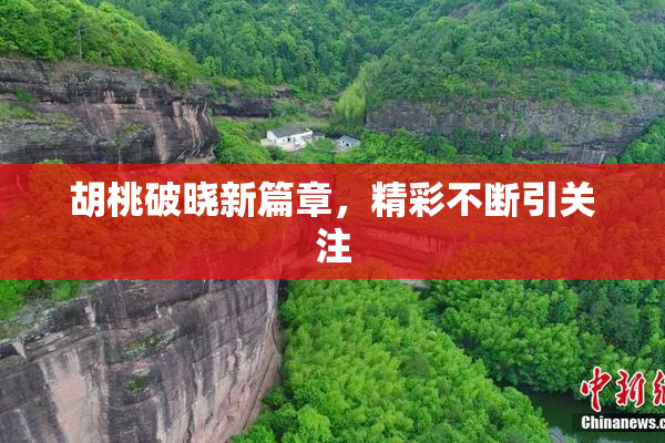 胡桃破晓新篇章，精彩不断引关注