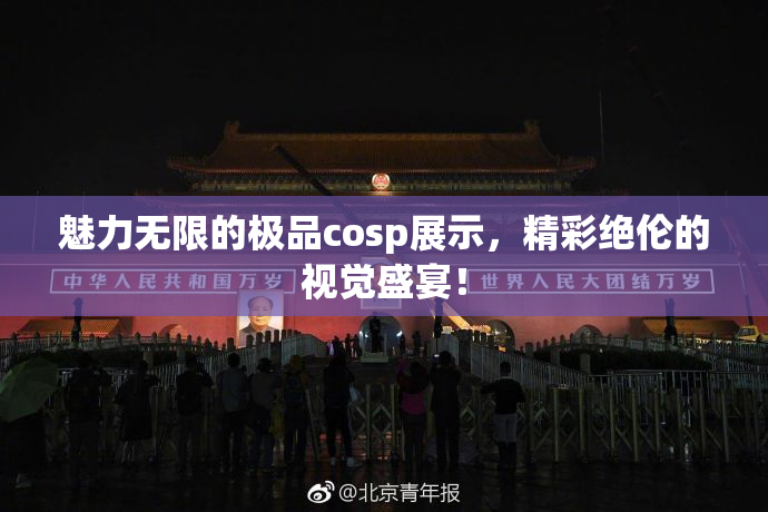 魅力无限的极品cosp展示，精彩绝伦的视觉盛宴！