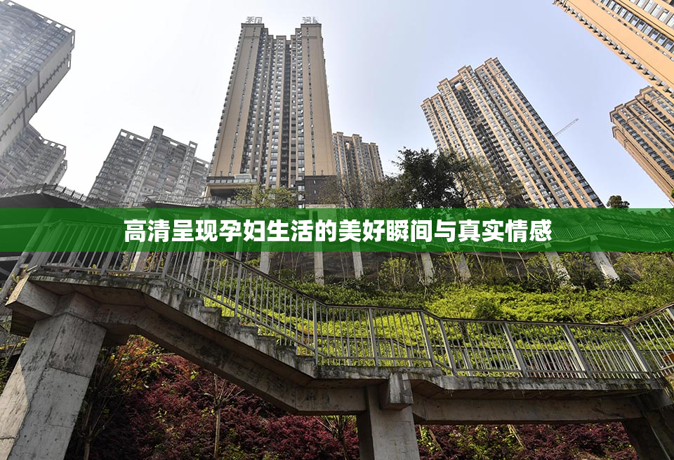 高清呈现孕妇生活的美好瞬间与真实情感