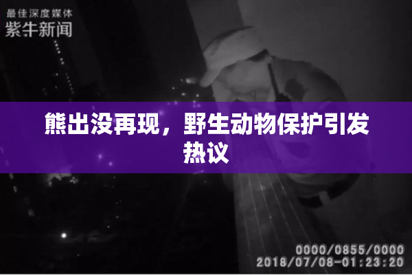 熊出没再现，野生动物保护引发热议