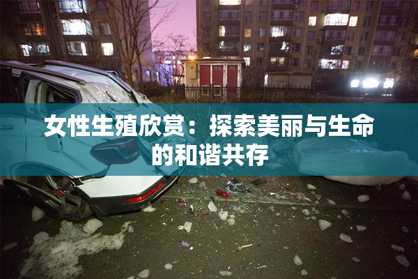 女性生殖欣赏：探索美丽与生命的和谐共存