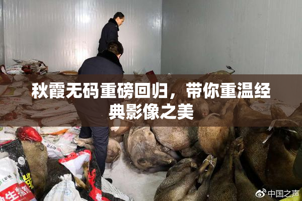 秋霞无码重磅回归，带你重温经典影像之美
