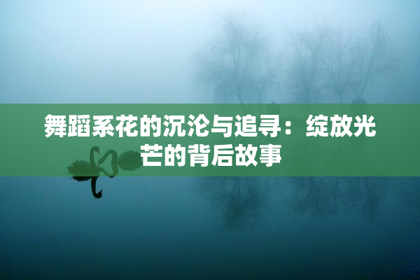 舞蹈系花的沉沦与追寻：绽放光芒的背后故事