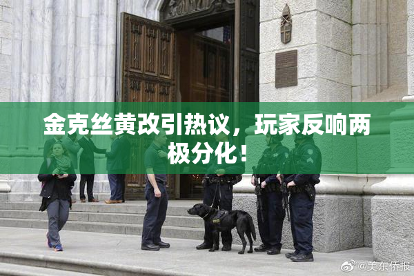 金克丝黄改引热议，玩家反响两极分化！
