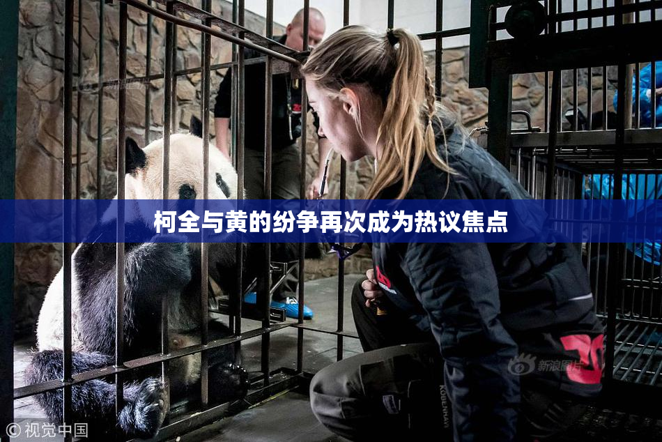 柯全与黄的纷争再次成为热议焦点