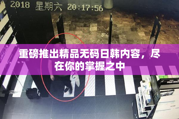 重磅推出精品无码日韩内容，尽在你的掌握之中