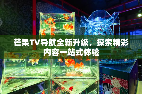 芒果TV导航全新升级，探索精彩内容一站式体验