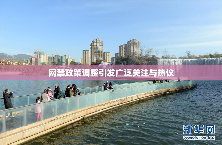 网禁政策调整引发广泛关注与热议