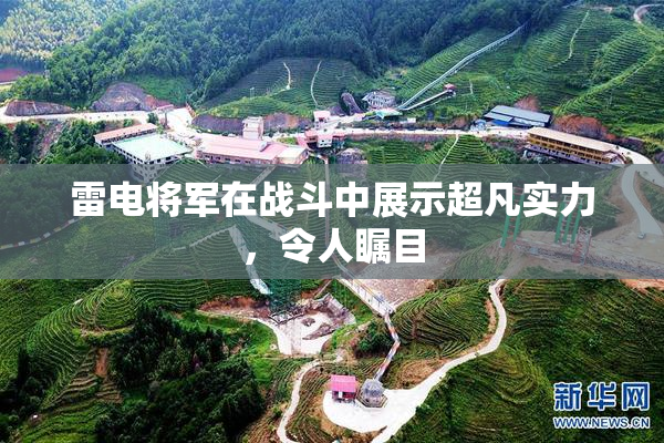 雷电将军在战斗中展示超凡实力，令人瞩目