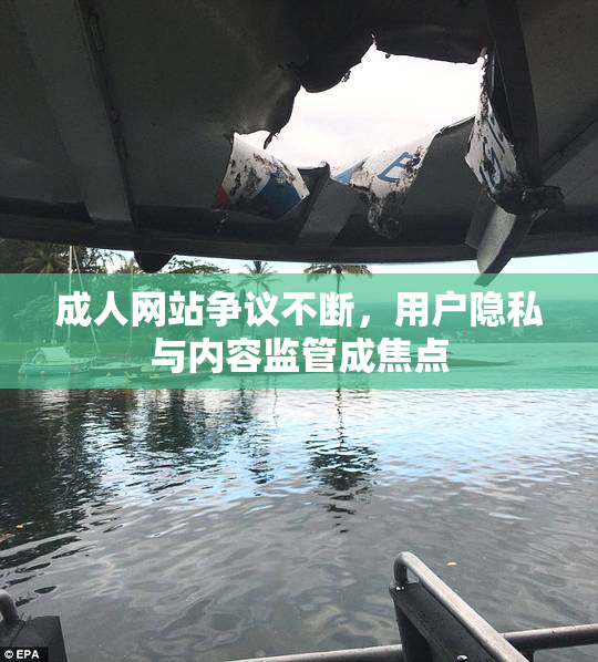 成人网站争议不断，用户隐私与内容监管成焦点