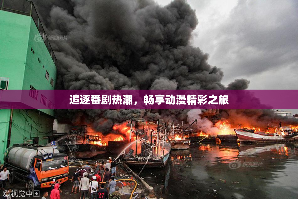 追逐番剧热潮，畅享动漫精彩之旅