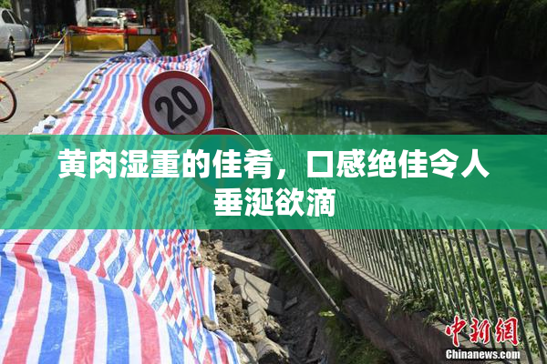 黄肉湿重的佳肴，口感绝佳令人垂涎欲滴