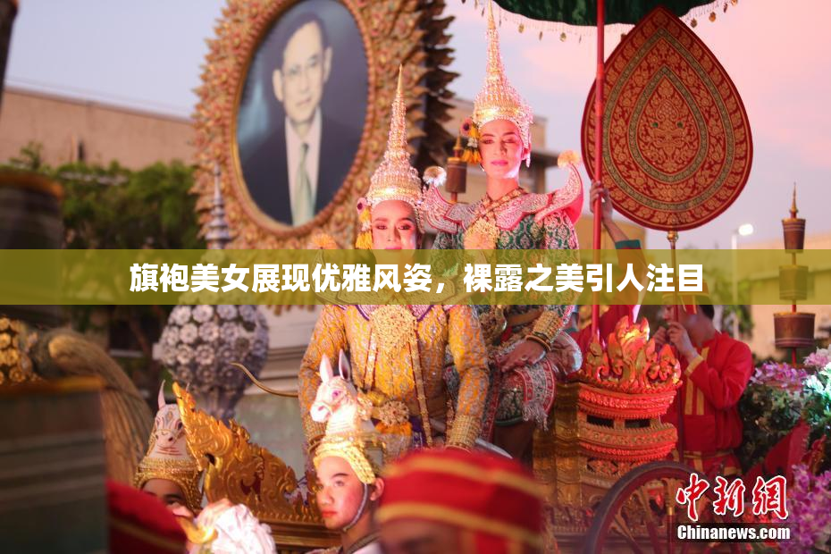 旗袍美女展现优雅风姿，裸露之美引人注目