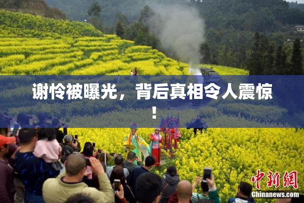 谢怜被曝光，背后真相令人震惊！