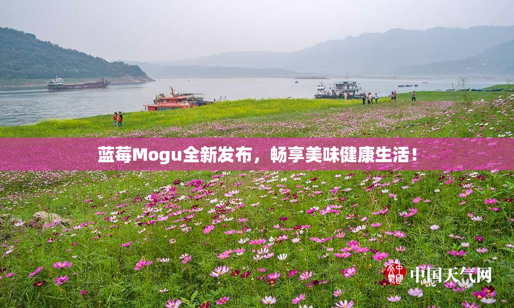 蓝莓Mogu全新发布，畅享美味健康生活！