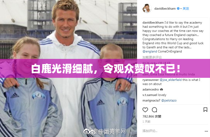 白鹿光滑细腻，令观众赞叹不已！