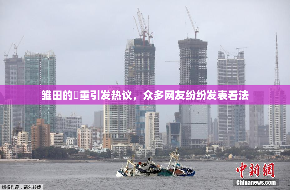 雏田的婬重引发热议，众多网友纷纷发表看法