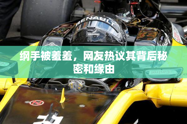 纲手被羞羞，网友热议其背后秘密和缘由