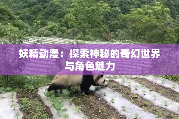 妖精动漫：探索神秘的奇幻世界与角色魅力