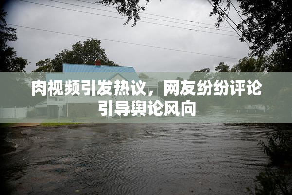 肉视频引发热议，网友纷纷评论引导舆论风向