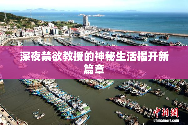深夜禁欲教授的神秘生活揭开新篇章